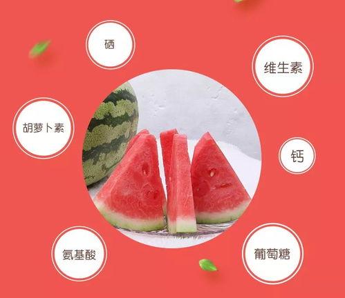 宁夏网红说自己吃瓜,揭秘吃瓜背后的故事