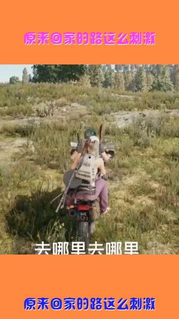 吃瓜网 回家的路,揭秘回家的路，探寻温馨归途背后的故事