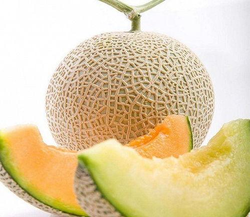泰国网红网纹瓜怎么吃,创意吃法大揭秘