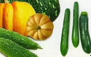 吃瓜网吃瓜网官网,带你领略网络吃瓜文化的魅力