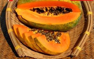 66吃瓜官网入口,独家入口带你畅游娱乐圈