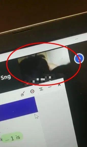 麦马网课吃瓜原视频资源