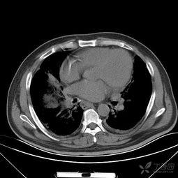 ccgg.ct吃瓜网,揭秘娱乐圈幕后故事，带你领略真实娱乐圈