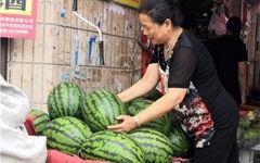 东北网红吃瓜群众