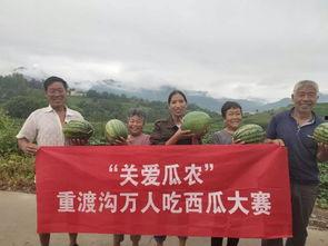 濮阳吃瓜群众网最新消息