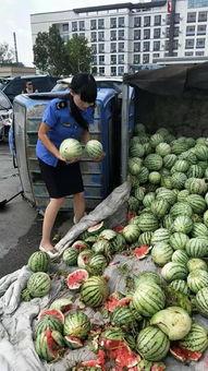 热心市民吃瓜网,揭秘娱乐圈幕后故事,带你走进明星真实生活