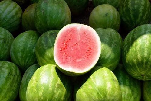 网红吃瓜资源分享