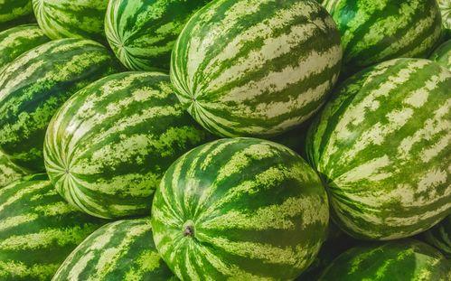 网红吃瓜视频怎么找,揭秘网红吃瓜视频背后的制作奥秘