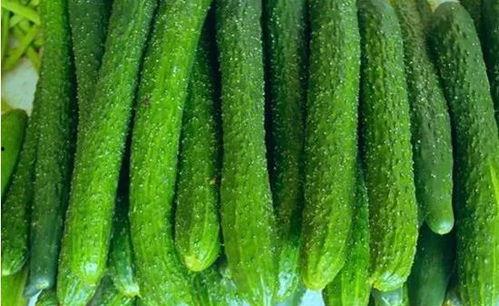 qq群吃的网红瓜