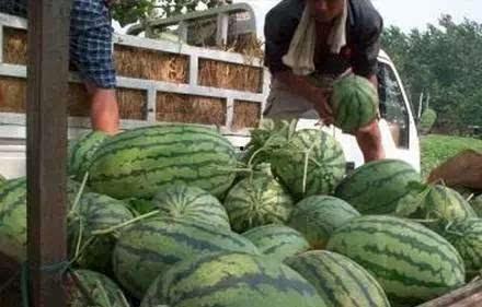 山西怀仁网红吃瓜后续,真相大白，后续发展引关注