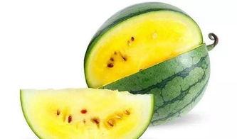 网红瓜去哪里吃最好吃呢