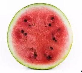 吃瓜网官网中心,带你走进网络娱乐资讯的内核世界