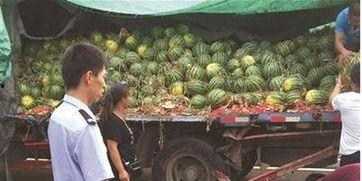 甘南网红吃瓜事件视频,一场网络狂欢背后的真相揭秘