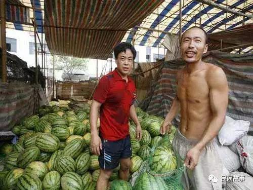 甘南网红吃瓜事件视频,一场网络狂欢背后的真相揭秘