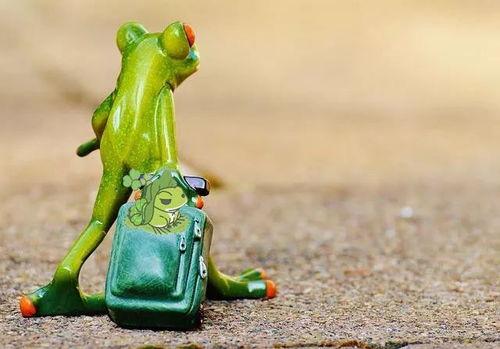 网红青蛙吃瓜文案,揭秘娱乐圈幕后真相