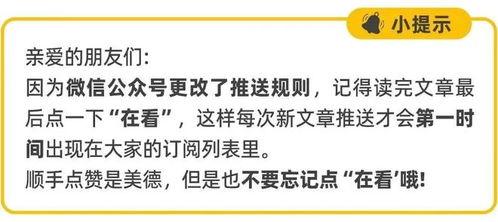 吃瓜网的服务内容怎么写,全方位娱乐资讯,带你畅游娱乐圈