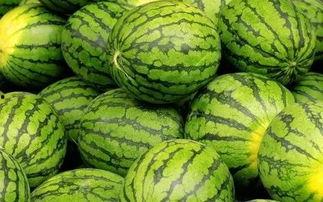 吃瓜网去哪里看,一网打尽全网热点,带你轻松吃瓜