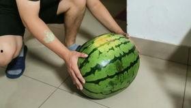 吃瓜拍视频的网红,揭秘娱乐圈幕后故事