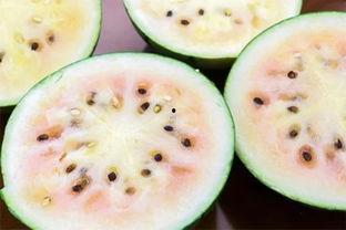 专门讲吃瓜的网红叫什么,揭秘吃瓜网红的传奇人生