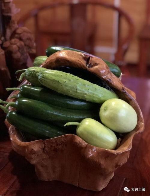 专门讲吃瓜的网红叫什么,揭秘吃瓜网红的传奇人生