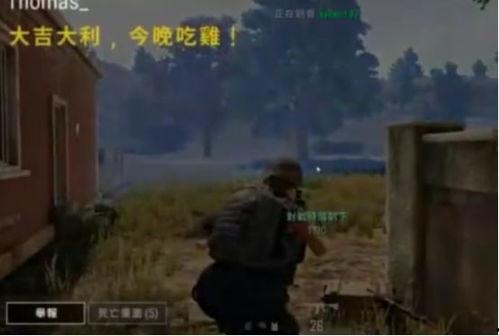 吃鸡瓜的网红,揭秘网络红人的崛起之路