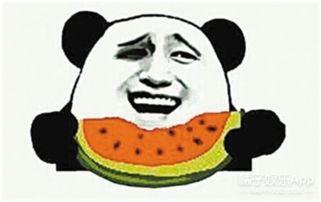 吃瓜群众瓜哥网红是谁啊