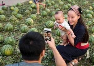 吃瓜网一家三口