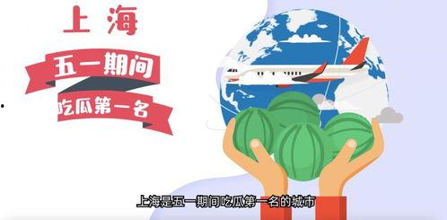 吃瓜网往期内容回顾,回顾往期精彩内容，带你领略娱乐圈风云变幻